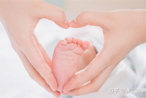 夏天苏州捐卵宝宝发烧 莫要急