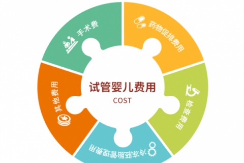 苏州捐卵宝宝肚痛，父母该怎么办？